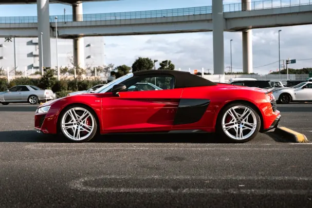 Casino Miami Dice Application Android/iOS